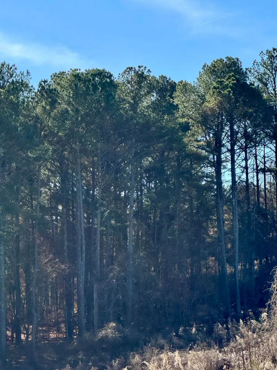 0 Airport Road, Copperhill, TN 37317 - Image #3