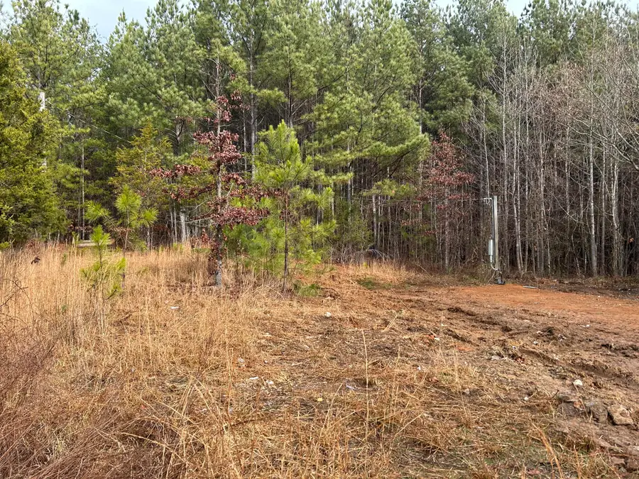 286 County Road 285, Niota, TN 37826 - Image #2