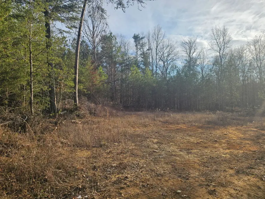 029    003 Smith Mountain, Dunlap, TN 37327 - Image #3