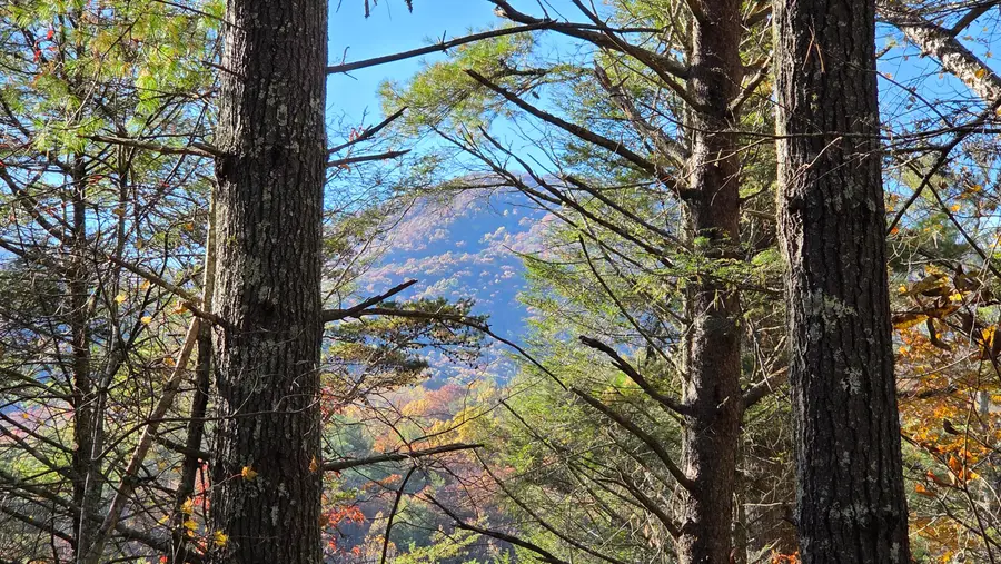 000 Tumbling Creek Road, Copperhill, TN 37317 - Image #2