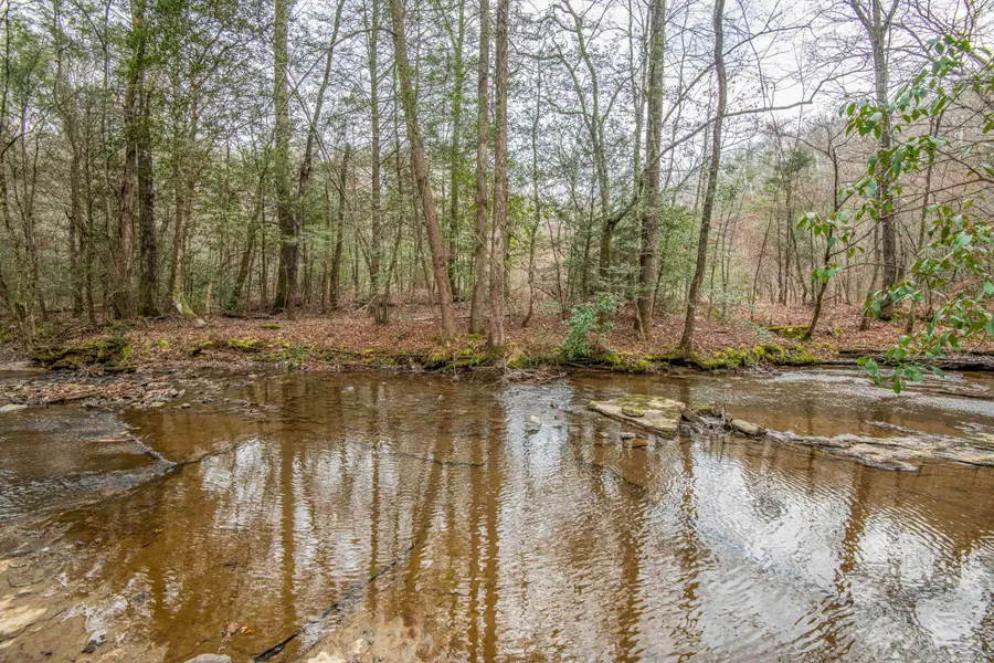 247 Copperhead Road, Oakdale, TN 37829 - Image #3