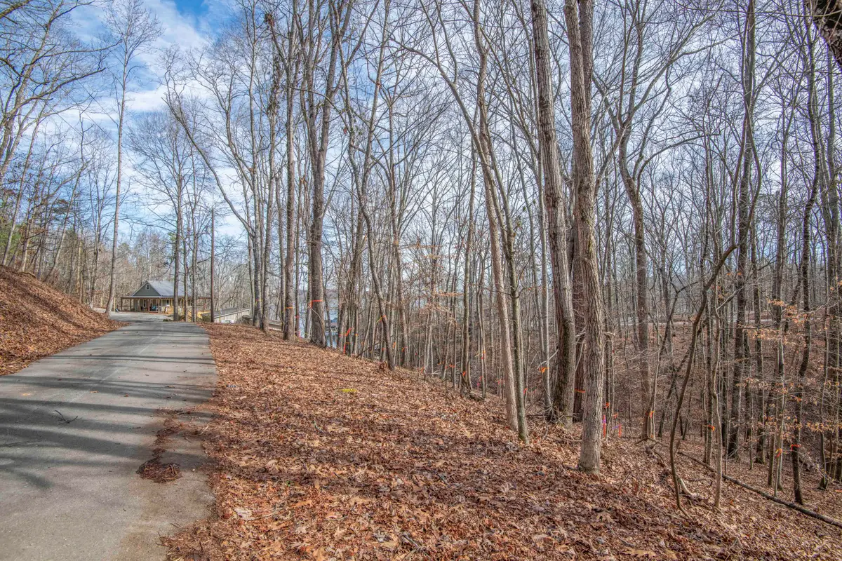 0 Sunset Court, Spring City, TN 37381 - Image #1