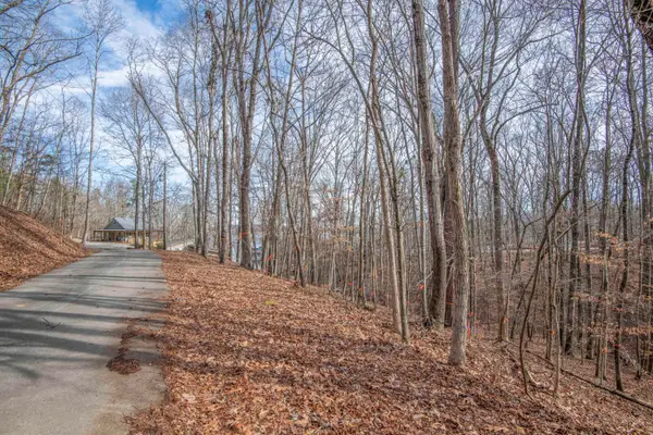 0 Sunset Court, Spring City, TN 37381