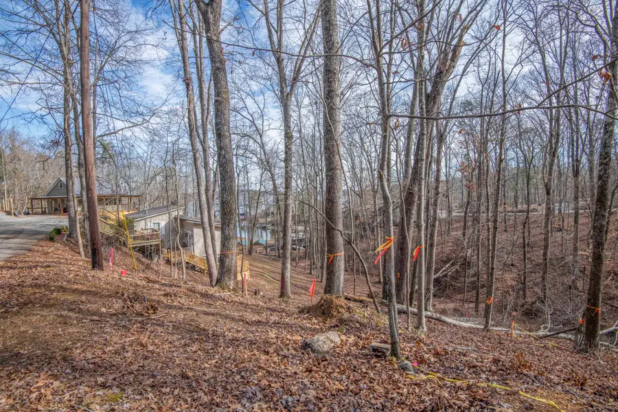 0 Sunset Court, Spring City, TN 37381 - Image #2