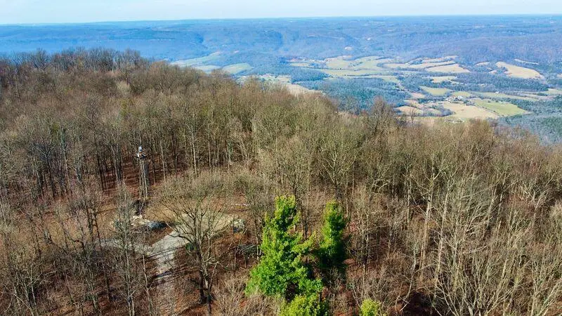 654 Briley Road, Spring City, TN 37381 - Image #2