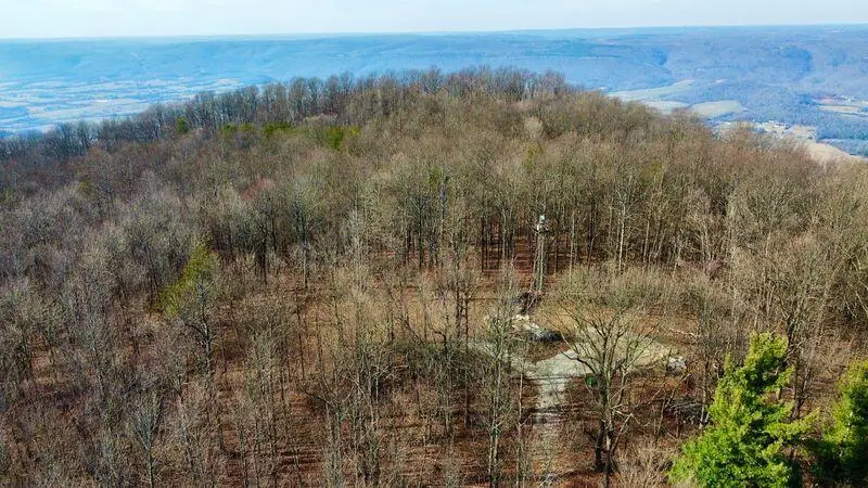 654 Briley Road, Spring City, TN 37381 - Image #3