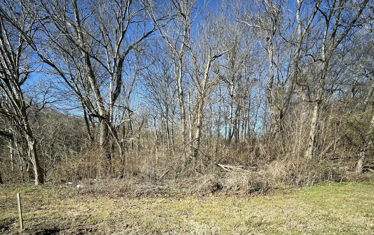 0 County Road 890, Etowah, TN 37331 - Image #1