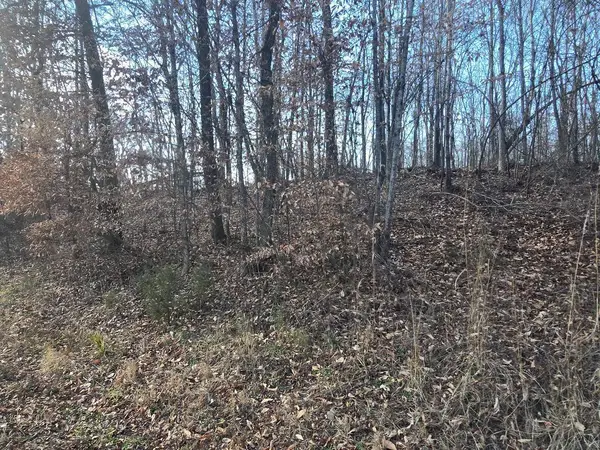 Lot 15 River Road, Decatur, TN 37322
