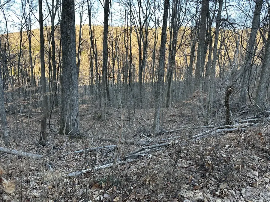 Lot 32 33 Stone Ridge Road Road, Pikeville, TN 37367 - Image #2