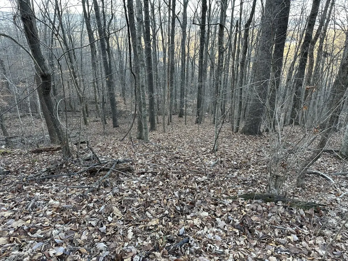 Lot 76 Fox Ridge, Pikeville, TN 37367 - Image #1