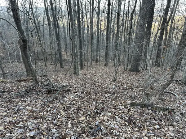 Lot 76 Fox Ridge, Pikeville, TN 37367