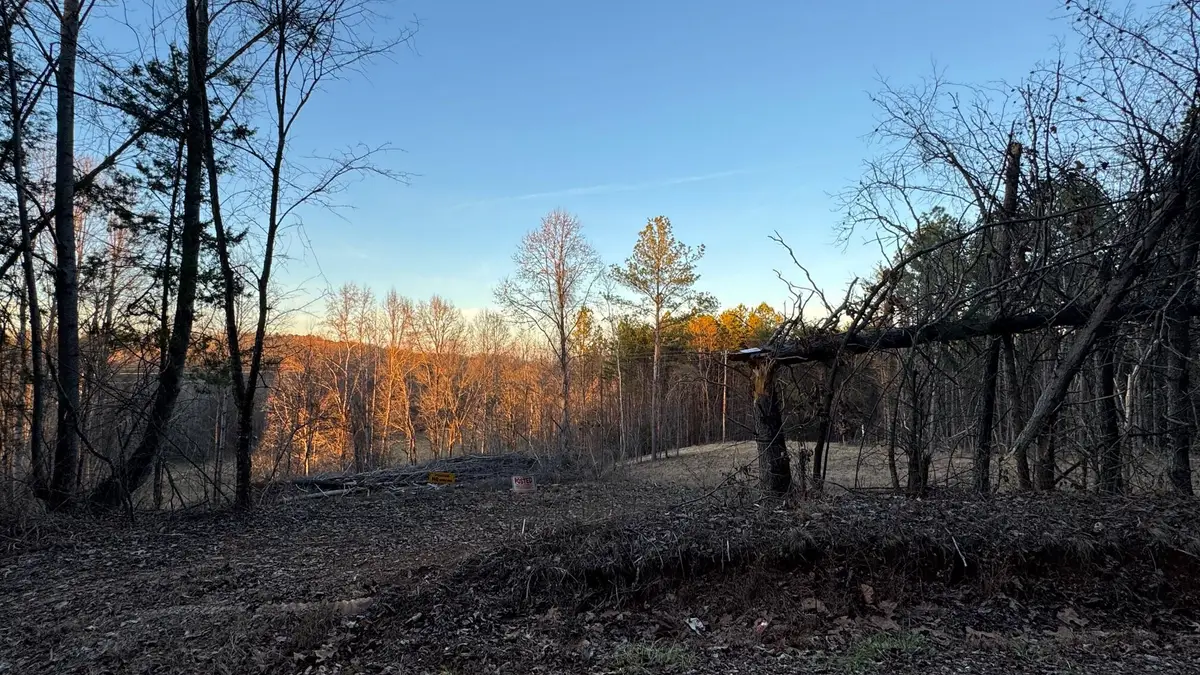 2100 Cottonport Ridge Road, Decatur, TN 37322 - Image #1