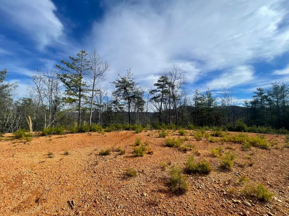 Lot 36 Bullet Mountain Drive, Tellico Plains, TN 37385 - Image #1