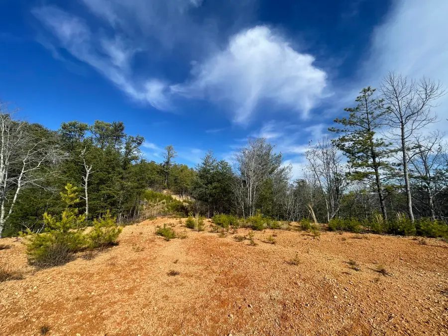 Lot 36 Bullet Mountain Drive, Tellico Plains, TN 37385 - Image #2