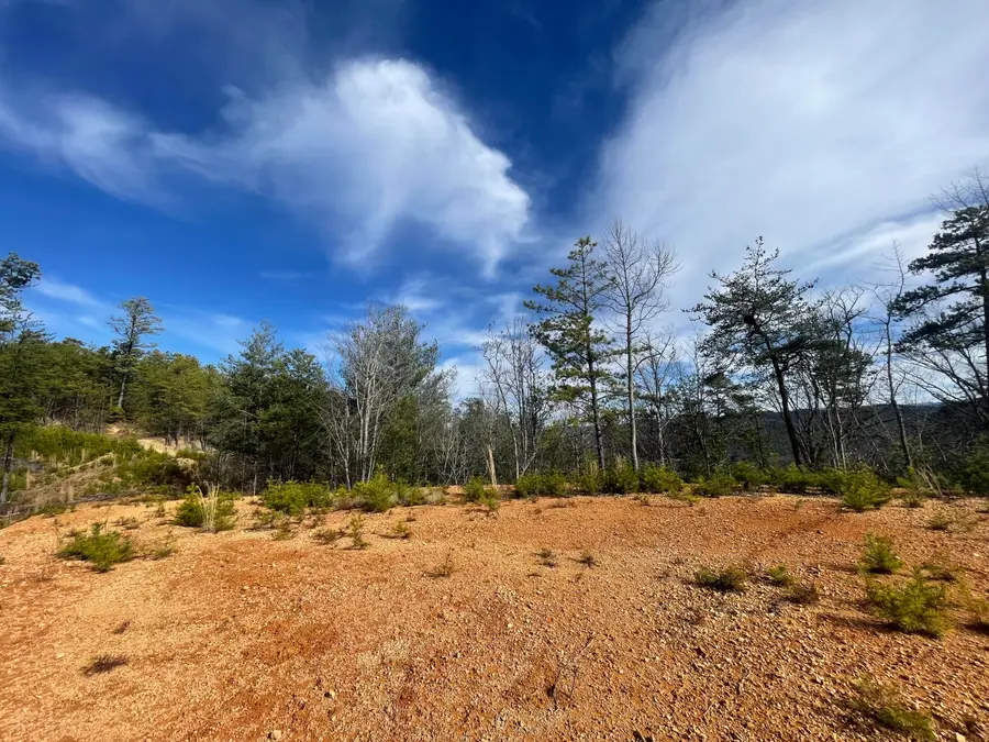 Lot 36 Bullet Mountain Drive, Tellico Plains, TN 37385 - Image #3