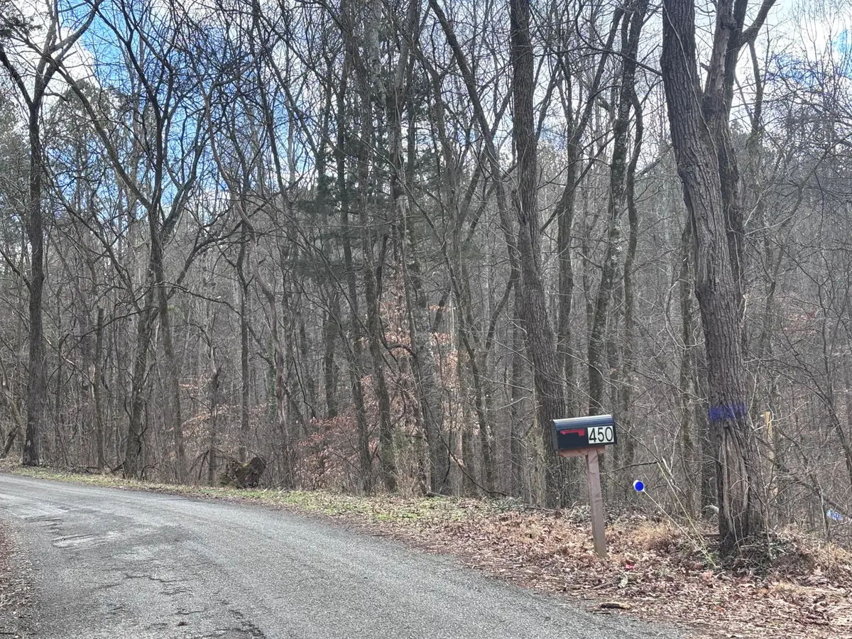 450 Butler Road, Decatur, TN 37322 - Image #1