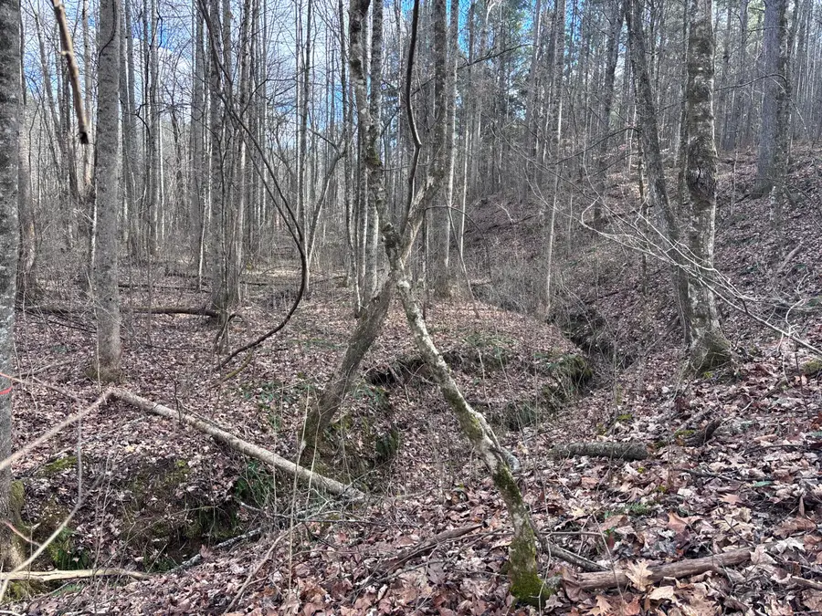 450 Butler Road, Decatur, TN 37322 - Image #2