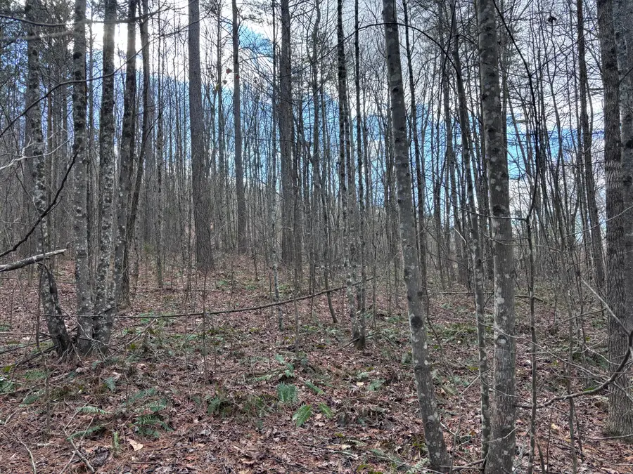 450 Butler Road, Decatur, TN 37322 - Image #3