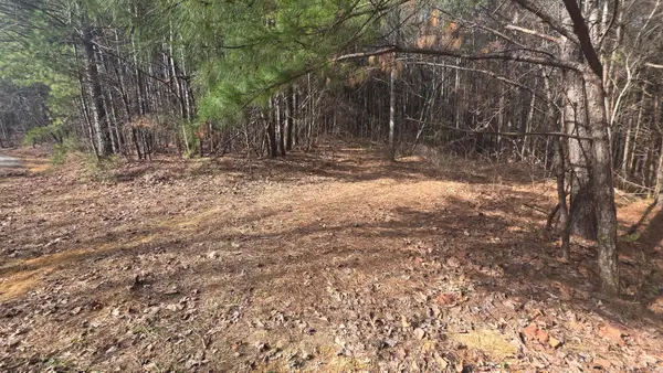 180 Rock Creek Drive, Old Fort, TN 37362