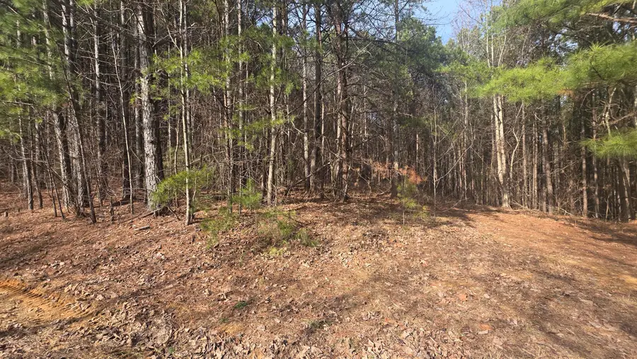 180 Rock Creek Drive, Old Fort, TN 37362 - Image #3