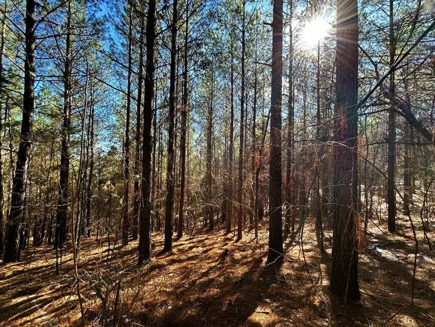 15.53ac Redman Ridge Lane, Decatur, TN 37322 - #1