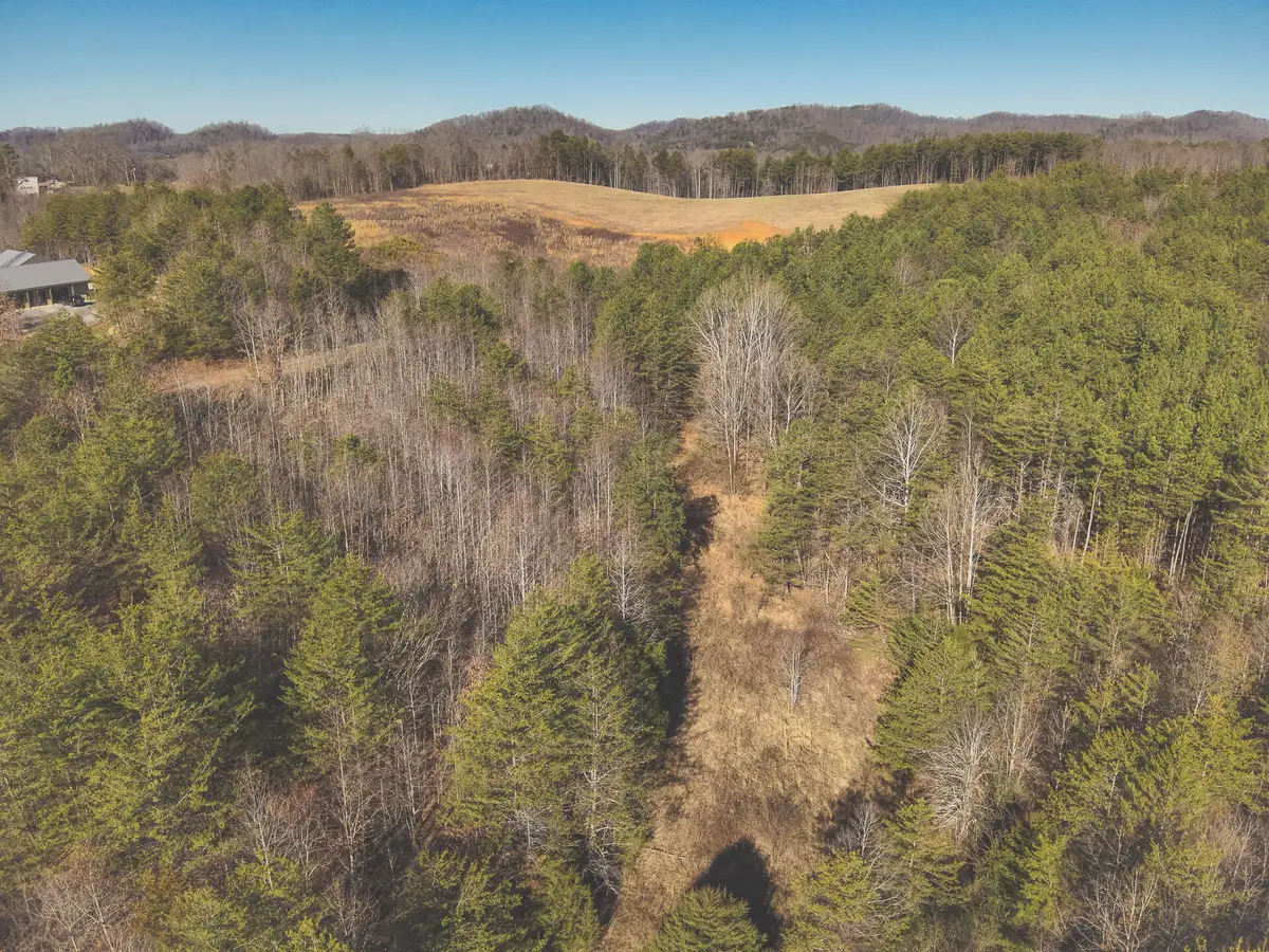 Tract 2 Curtis Road, Tellico Plains, TN 37385 - Image #1
