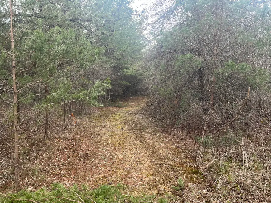 0 Hen House Road, Jasper, TN 37374 - #3