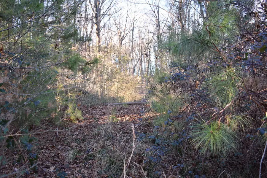 1 Eldridge Lane Sw, Cleveland, TN 37311 - #2