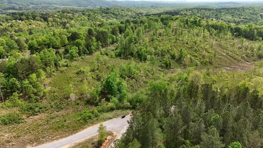 Lot 9 Eldridge Road, Birchwood, TN 37308 - Image #3