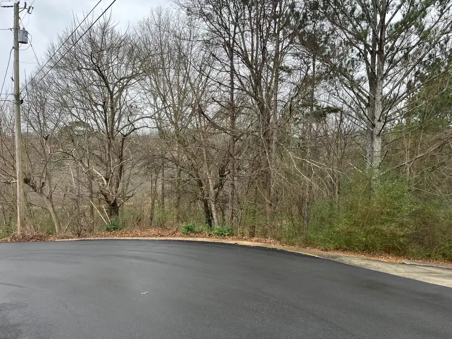 29 Cleo Circle, Ringgold, GA 30736 - #3