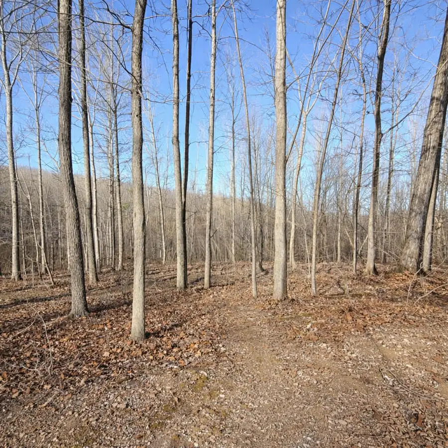 Lot 7 Bill West Road, Ten Mile, TN 37880 - #3