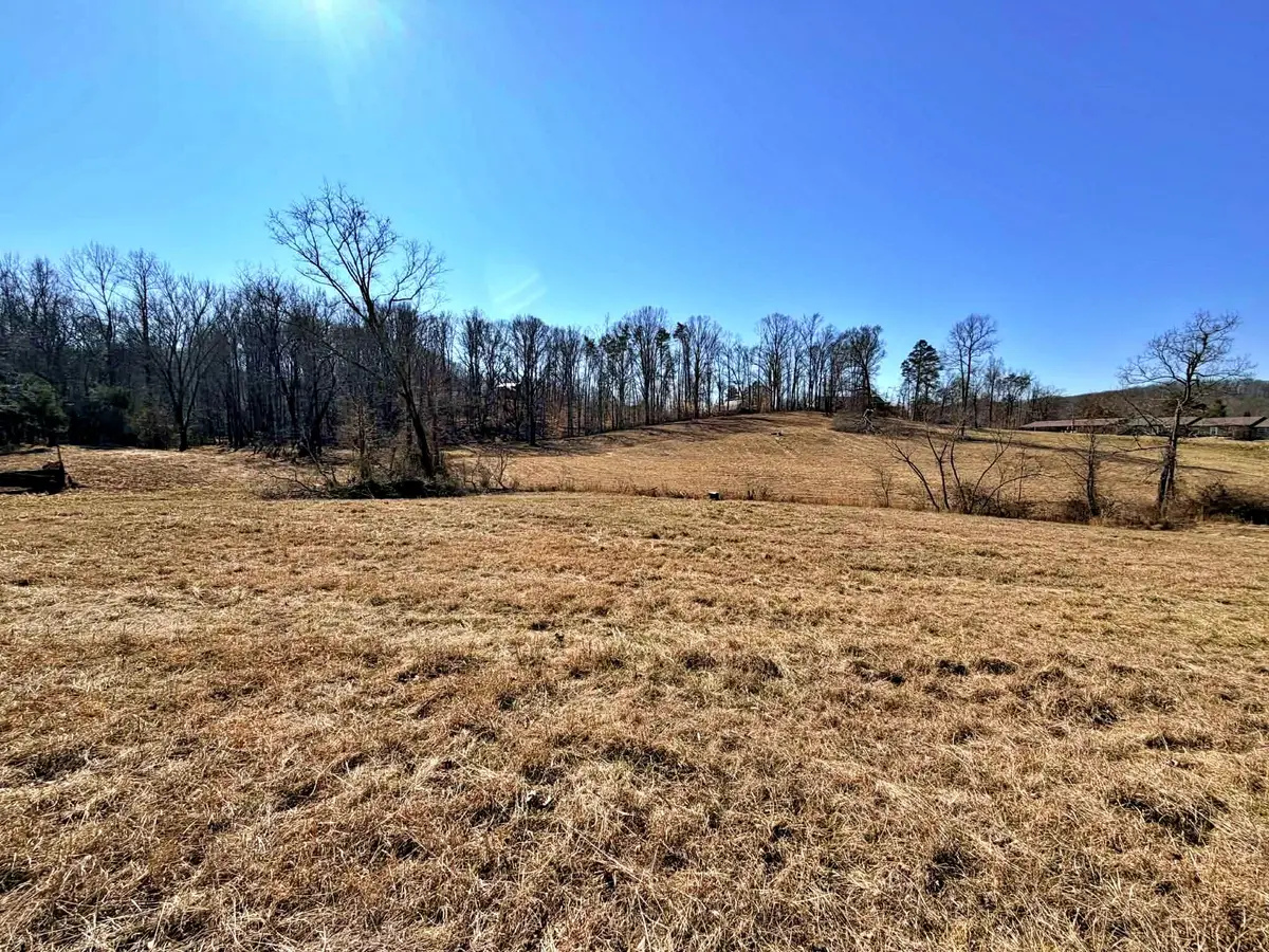 1678 Ward Road, Decatur, TN 37322 - #1