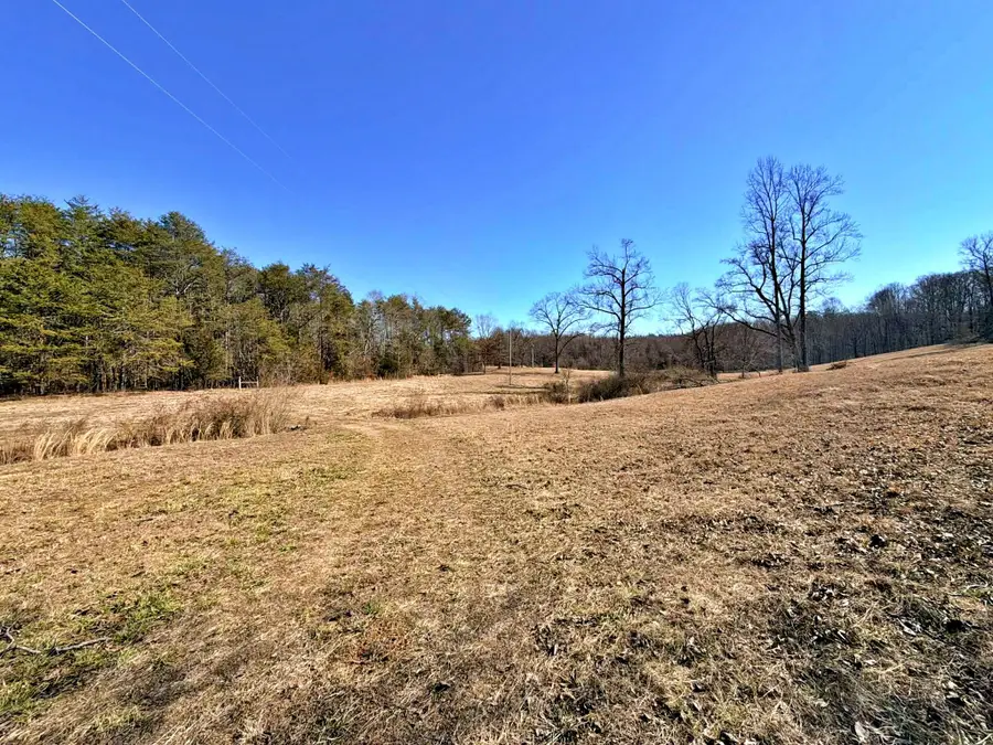 1678 Ward Road, Decatur, TN 37322 - #3