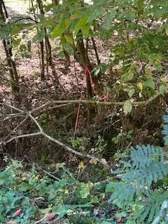 61.66 Acre Chestnut Valley Road, Vonore, TN 37885 - #3