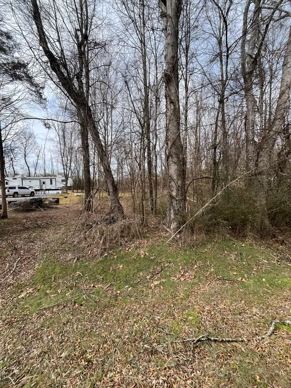Lot 2 Tennessee 304, Decatur, TN 37322