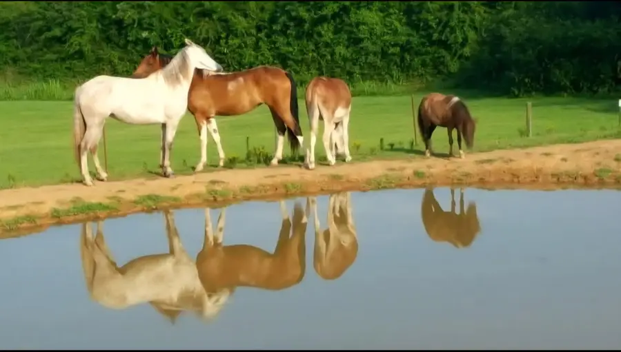 840 Jordan Road, Decatur, TN 37322 - #2