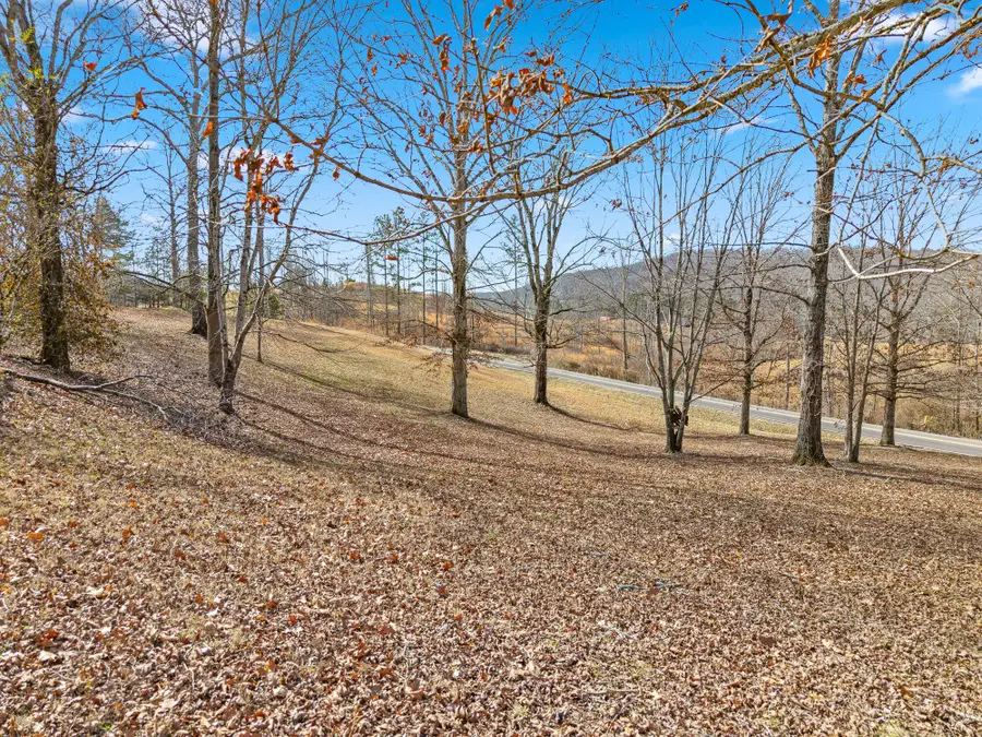 454 County Road 188, Decatur, TN 37322 - #2