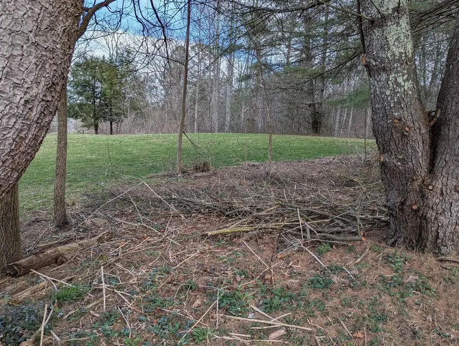 385 Chiggertown Loop, Palmer, TN 37365 - #2