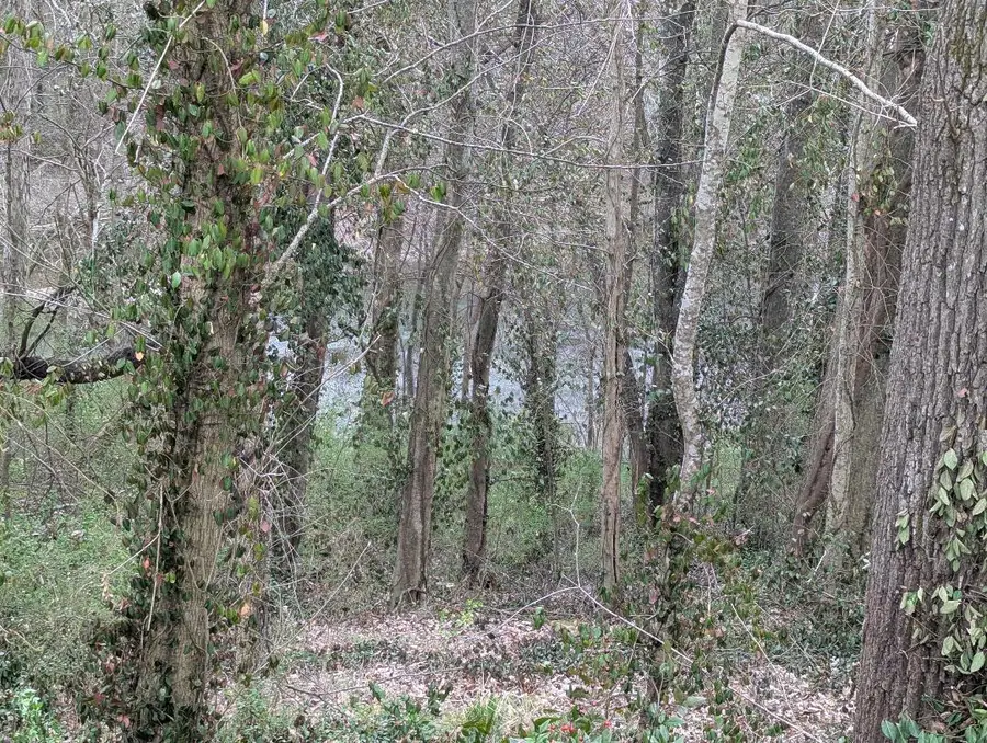 212 Bluff Street, McMinnville, TN 37110 - #2