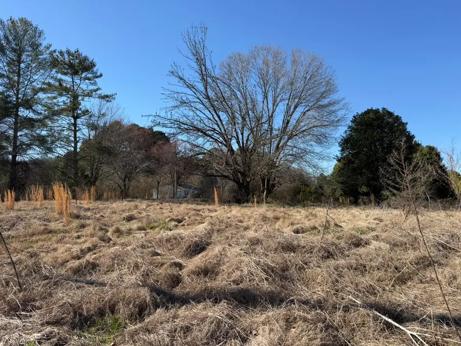 359 Clearwater Road, Ten Mile, TN 37880 - #3