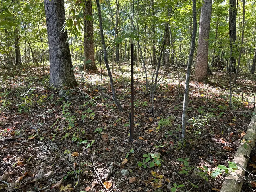 Lot351-354 Diana Drive, Spring City, TN 37381 - #3