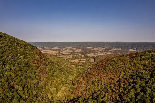 Lot 8a/8b Dunlukin Drive, Spring City, TN 37381