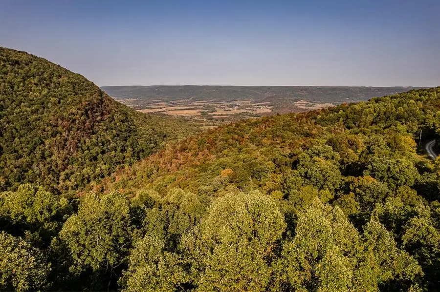 Lot 8a/8b Dunlukin Drive, Spring City, TN 37381 - #3