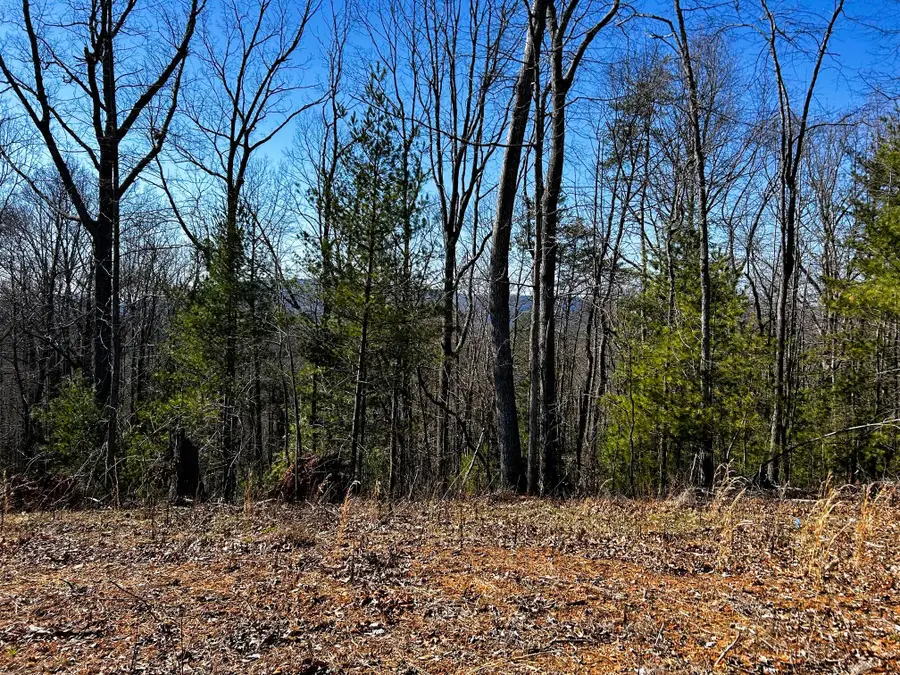 107/125 Chestnut Mountain Road, Reliance, TN 37369 - #2