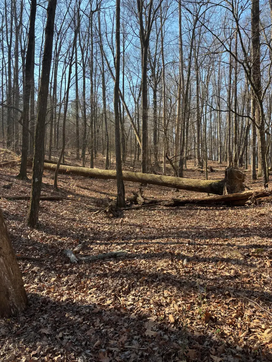 0 Johnson Rd Se Road Se, Cleveland, TN 37323 - #2