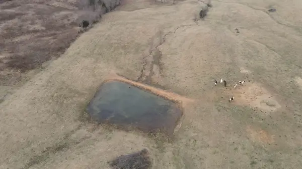 0 Clayton Angel Road, Pikeville, TN 37367