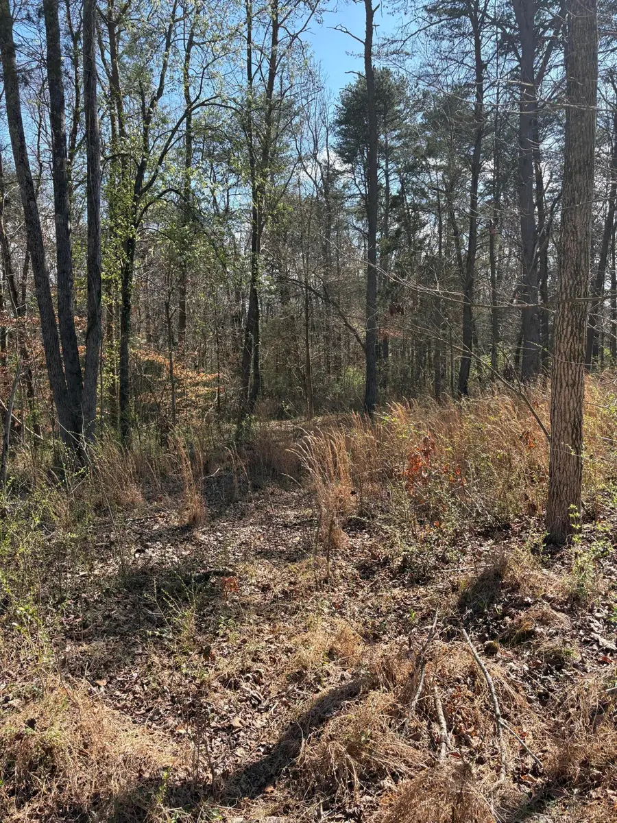 609 Old Tellico Highway N, Madisonville, TN 37354 - #2