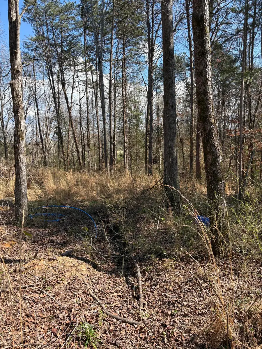 609 Old Tellico Highway N, Madisonville, TN 37354 - #3