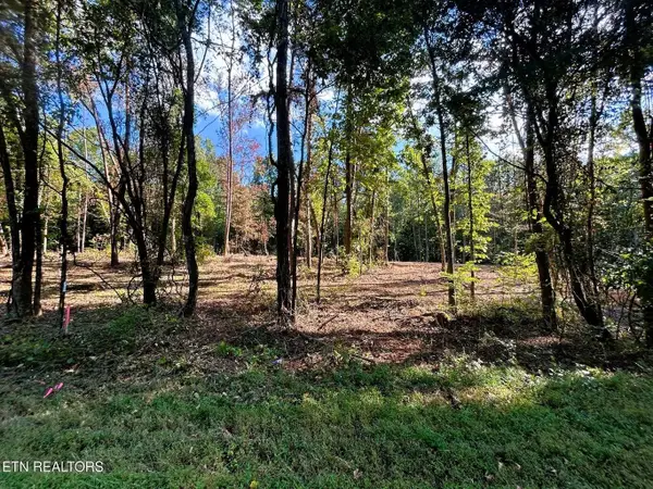 5.5 Acres Pleasant Hill Road, Ten Mile, TN 37880