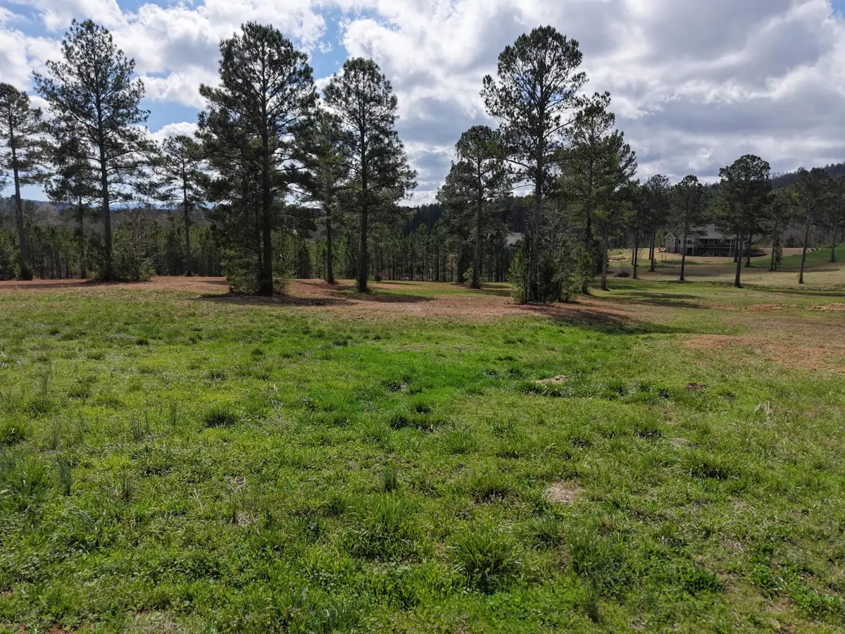 129 Bob White Road, Ocoee, TN 37361 - #1